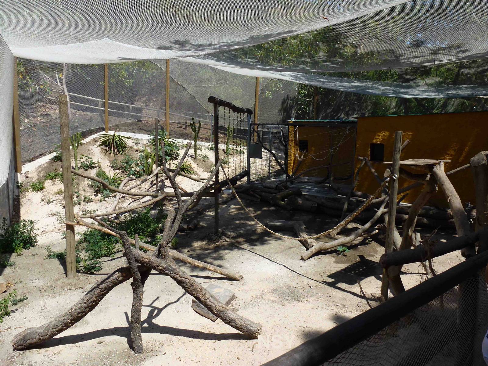 Lemur walkthrough, July 2013.