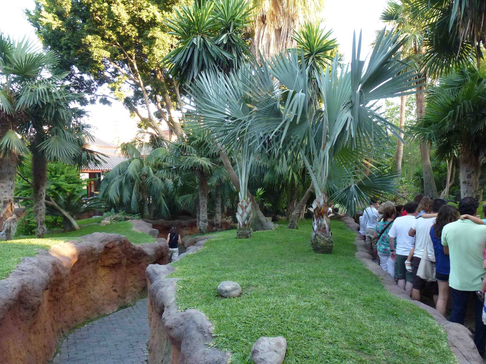 Lemur walkthrough, July 2013.