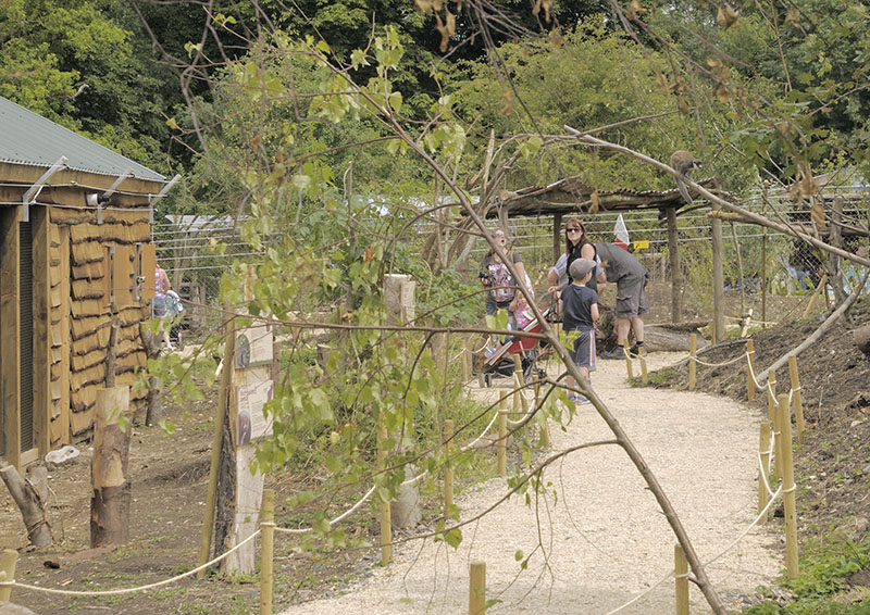 Lemur walkthrough path