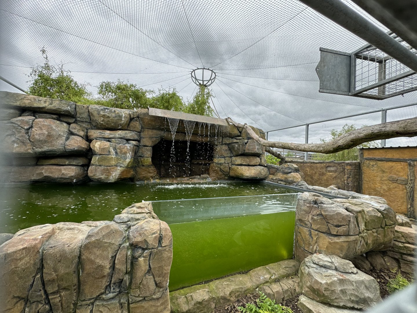Lemur Walkthrough Pond at Woodside Wildlife Park (May 2024)
