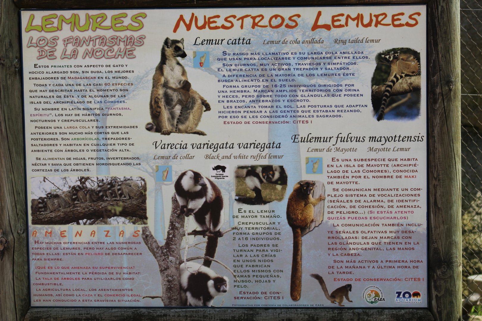 Lemur Walkthrough Sign