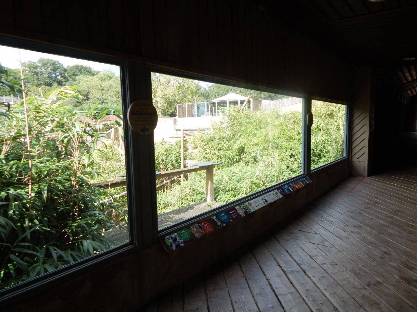 Lemur Walkthrough upper viewing area 110925