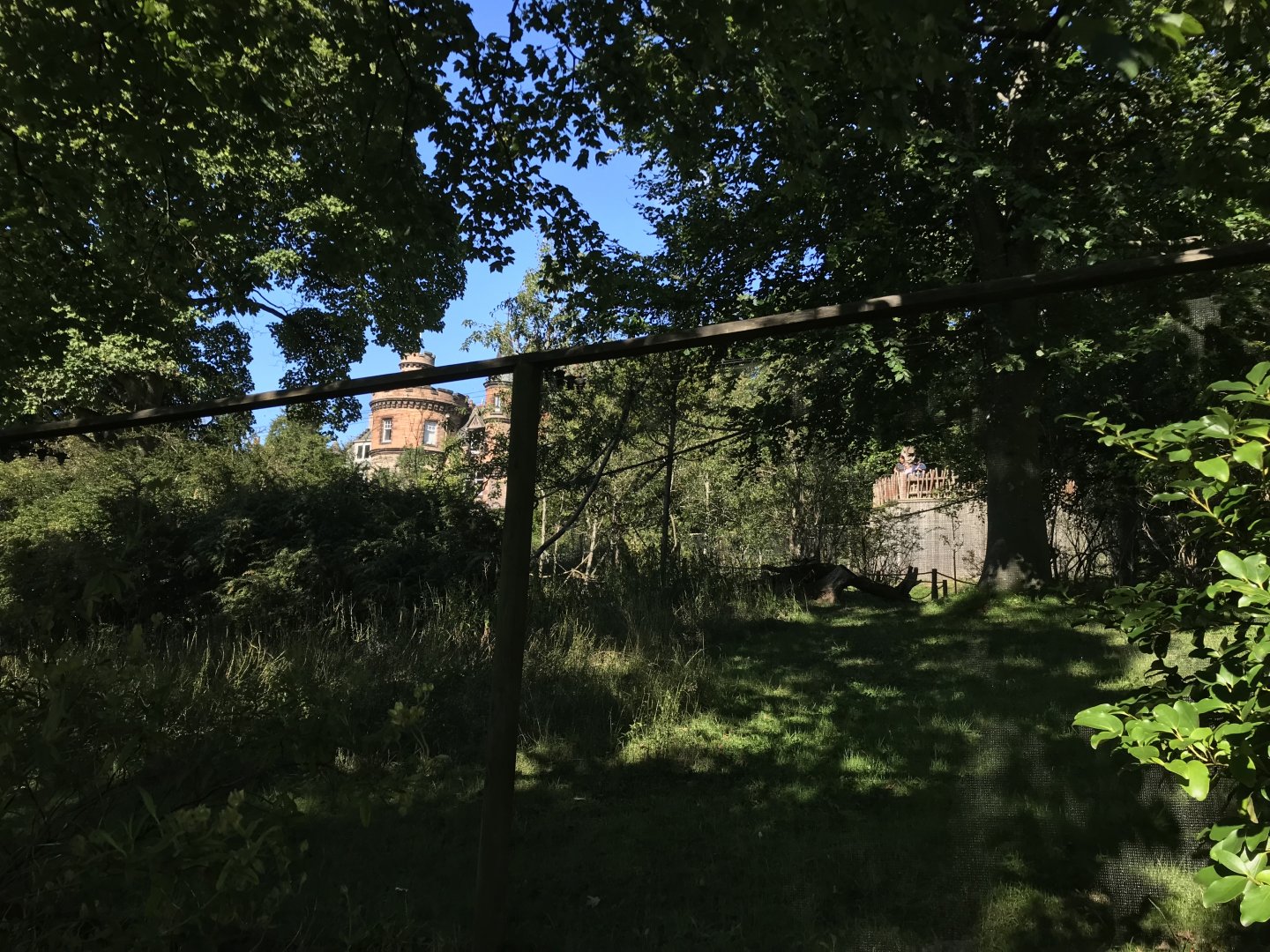 Lemur walkthrough with house in the background