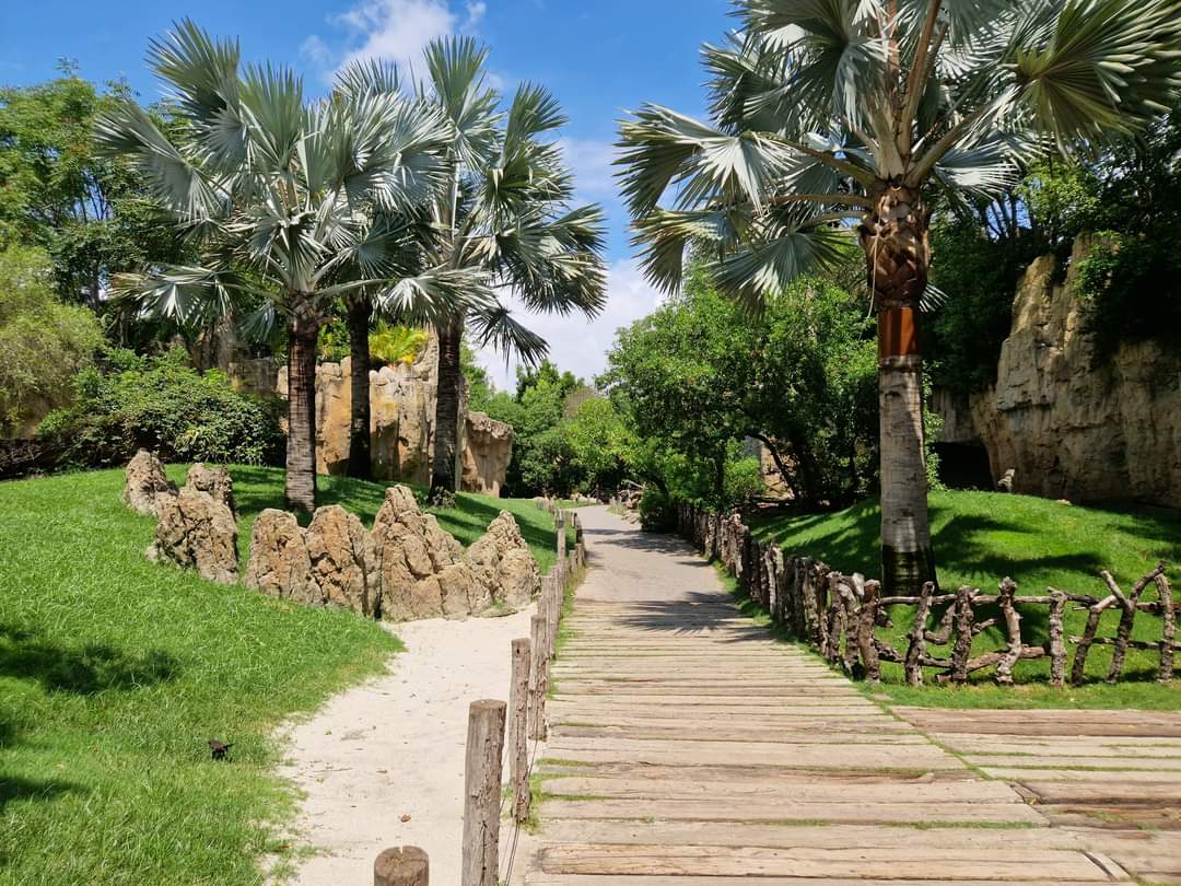 Lemur Walktrough exhibit