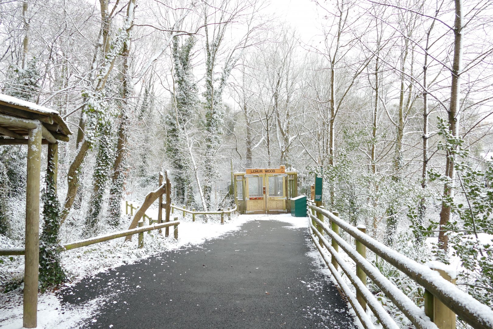 Lemur Wood, 28 February 2018