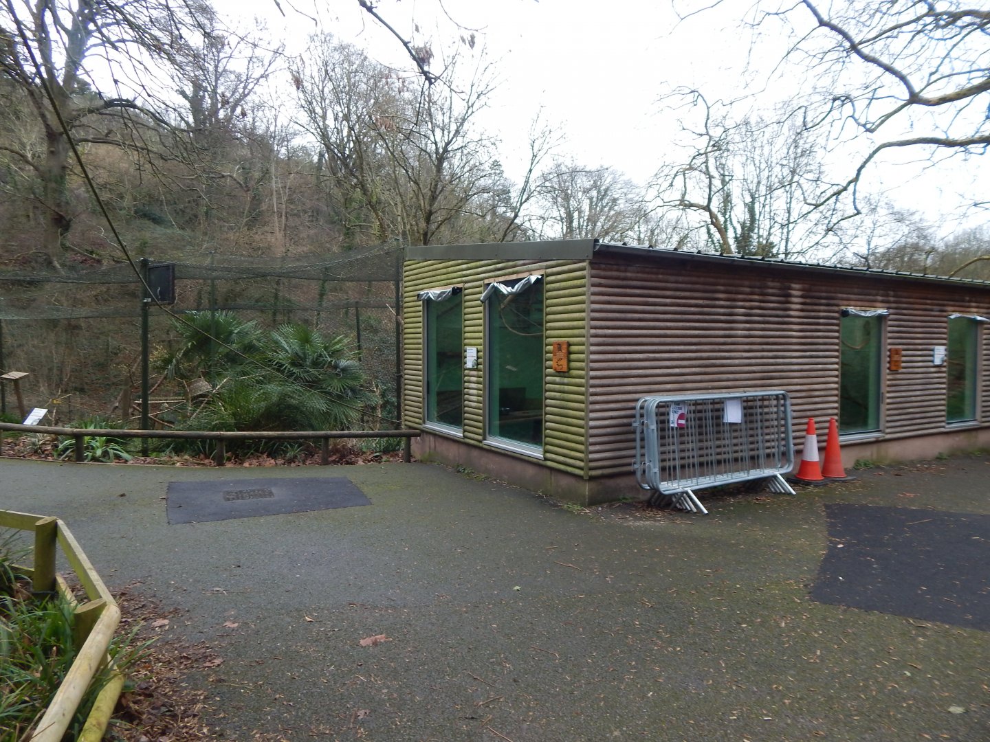 Lemur Wood - Ring-tailed lemur/Red-bellied lemur enclosure 050224
