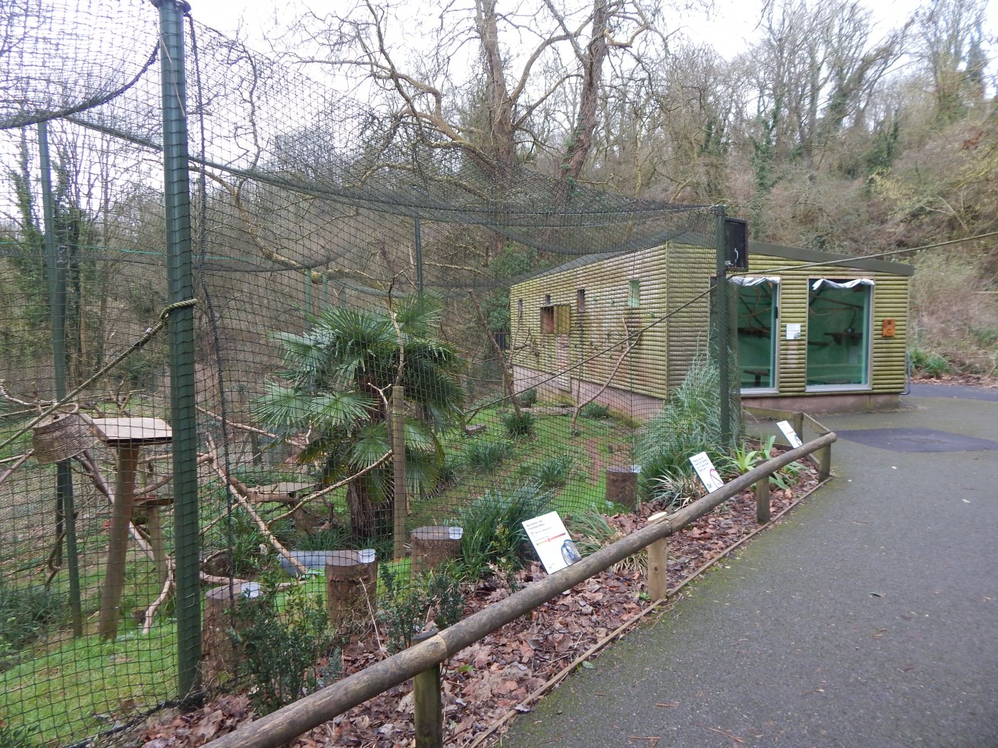 Lemur Wood - Ring-tailed lemur/Red-bellied lemur enclosure 050224