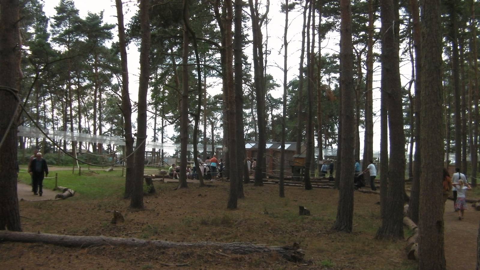 Lemur Woods - 19.08.2011