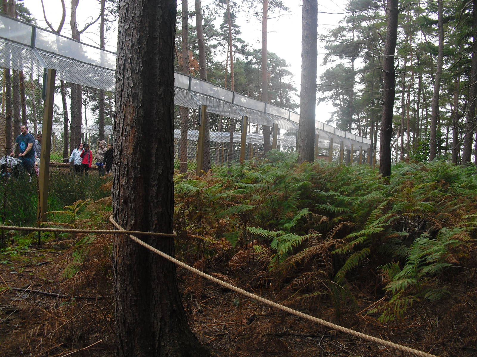 Lemur Woods - Enclosure Exterior - 06/09/2011