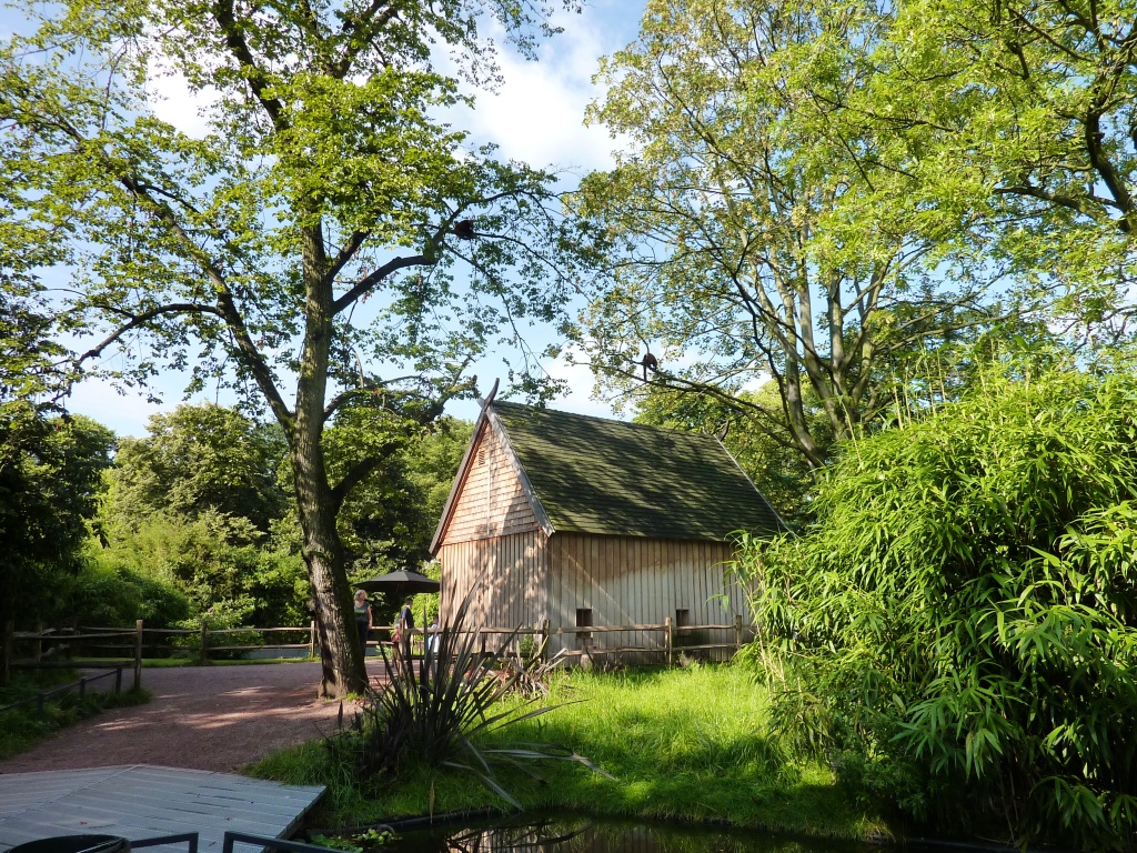 Lemurenland Artis August 2010