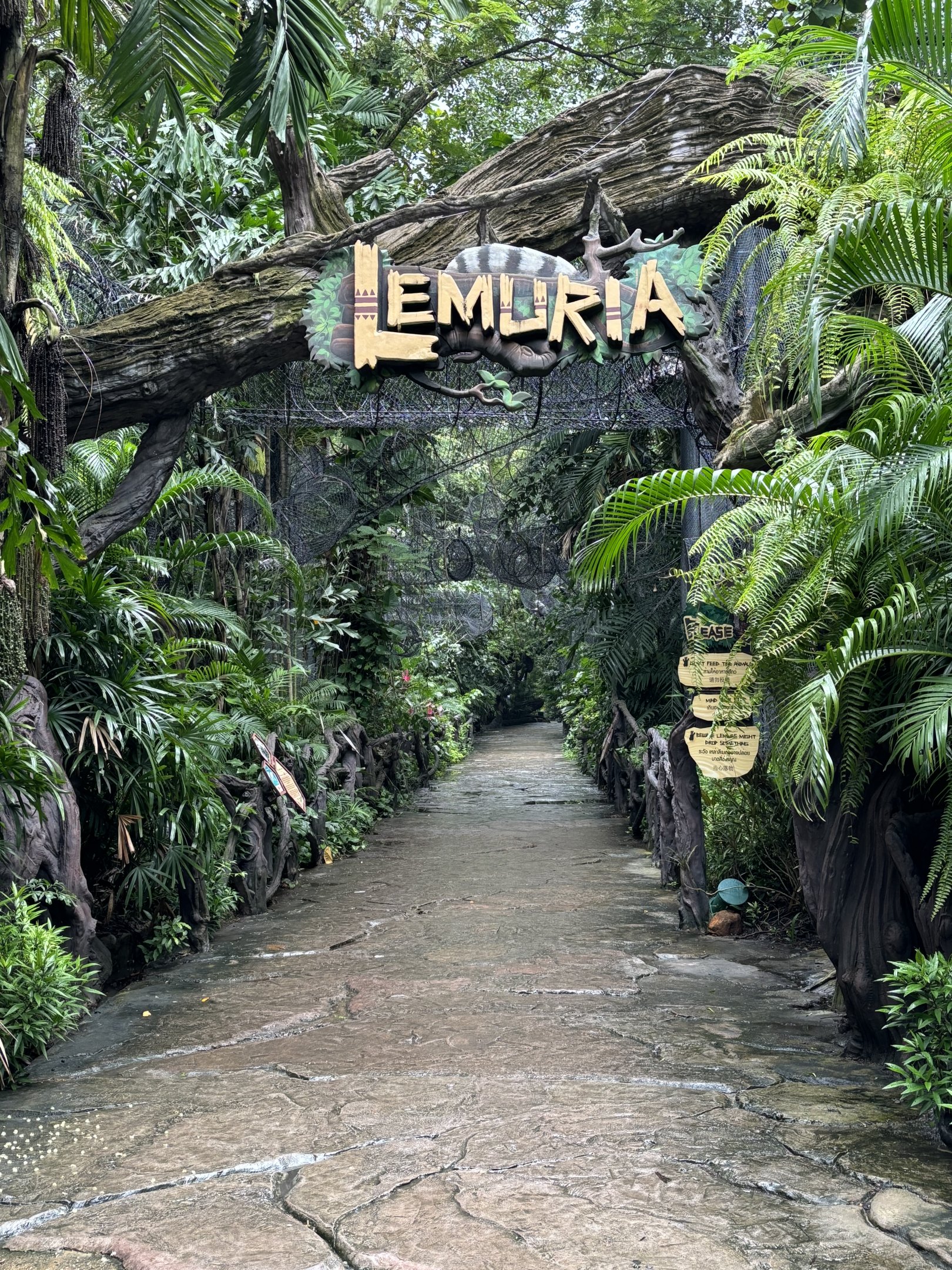 Lemuria - fantastic jungle trail