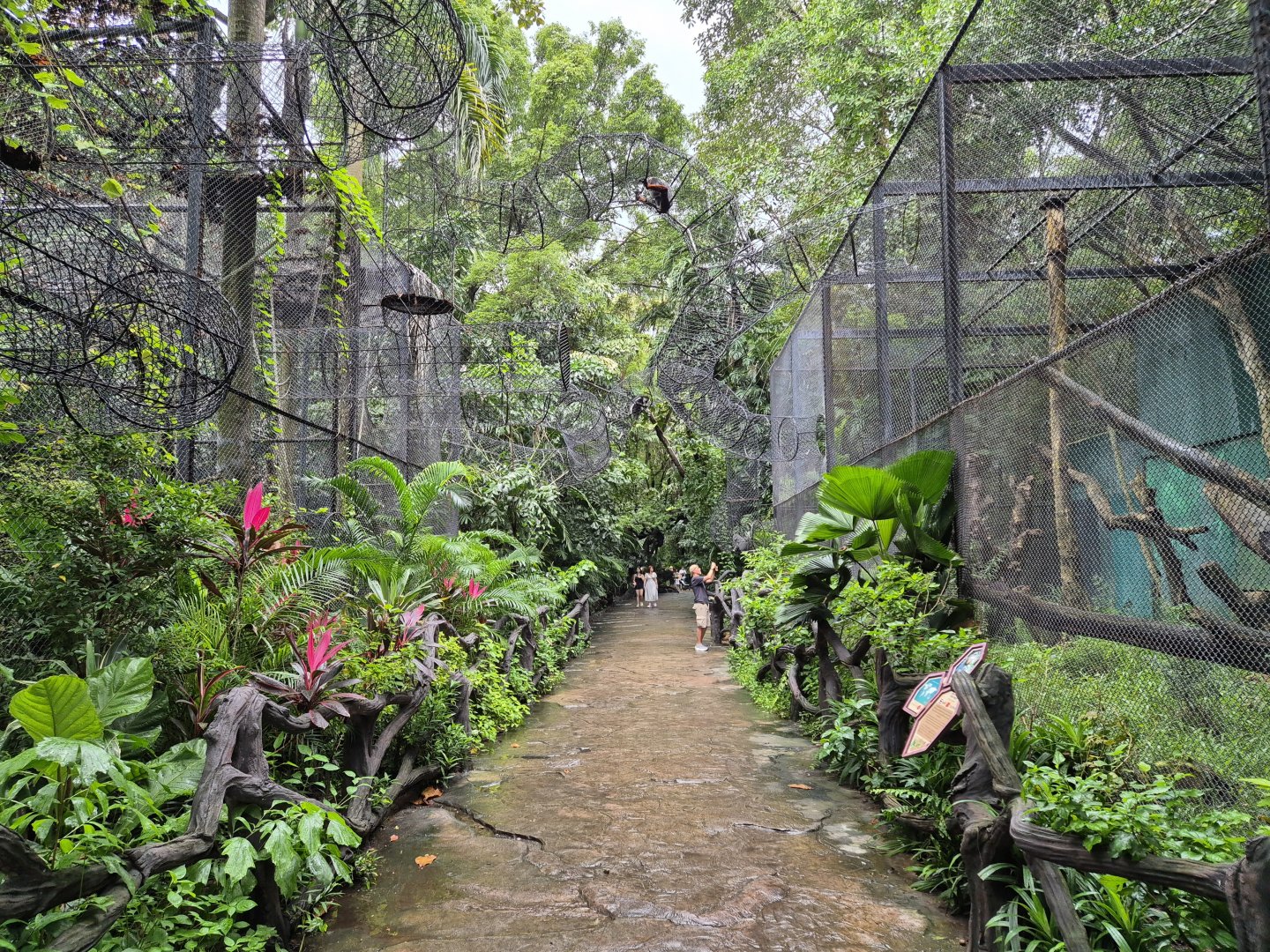 Lemuria - Monkey exhibits