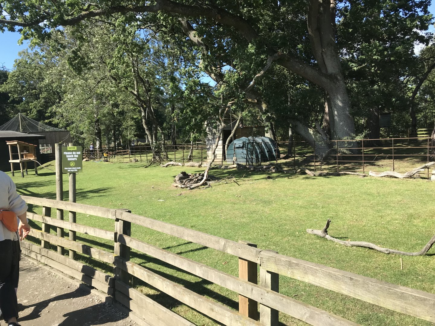 Lemurland- African spurred tortoise enclosure (2)