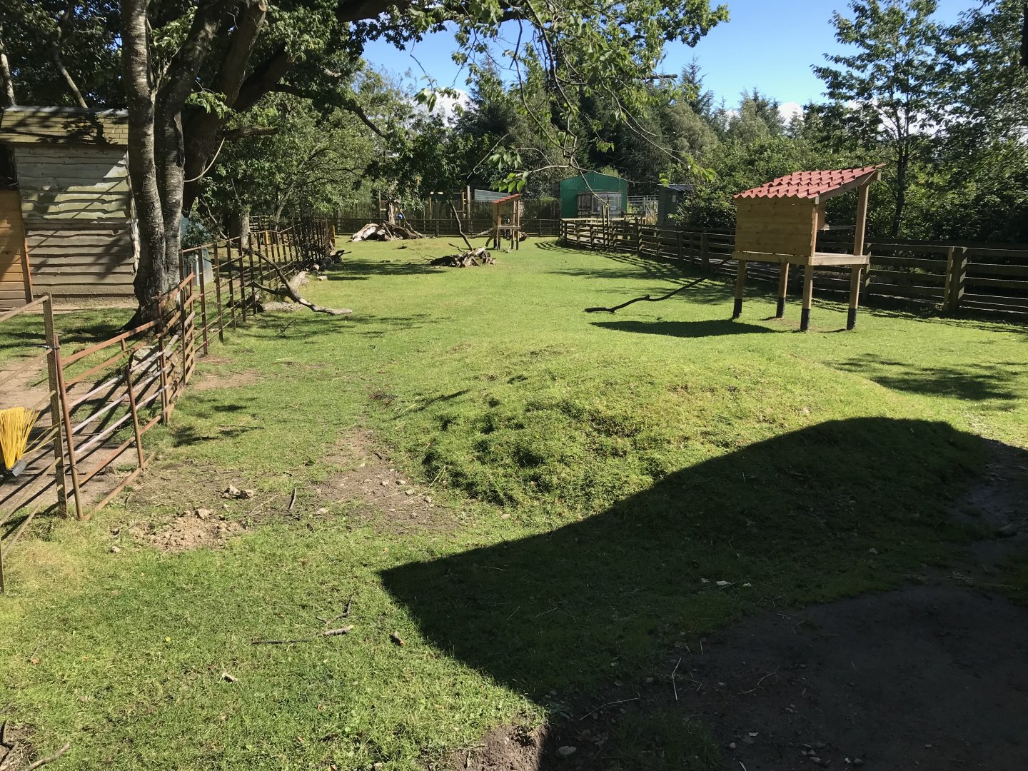 Lemurland- African spurred tortoise enclosure (3)