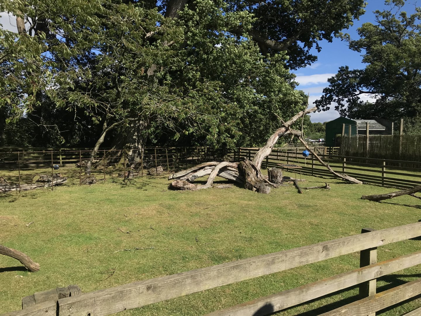 Lemurland- African spurred tortoise enclosure