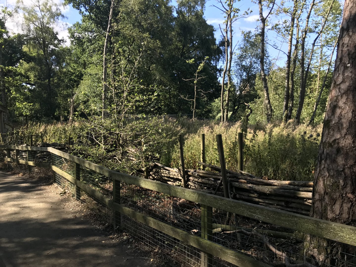 Lemurland- Former red river hog enclosure
