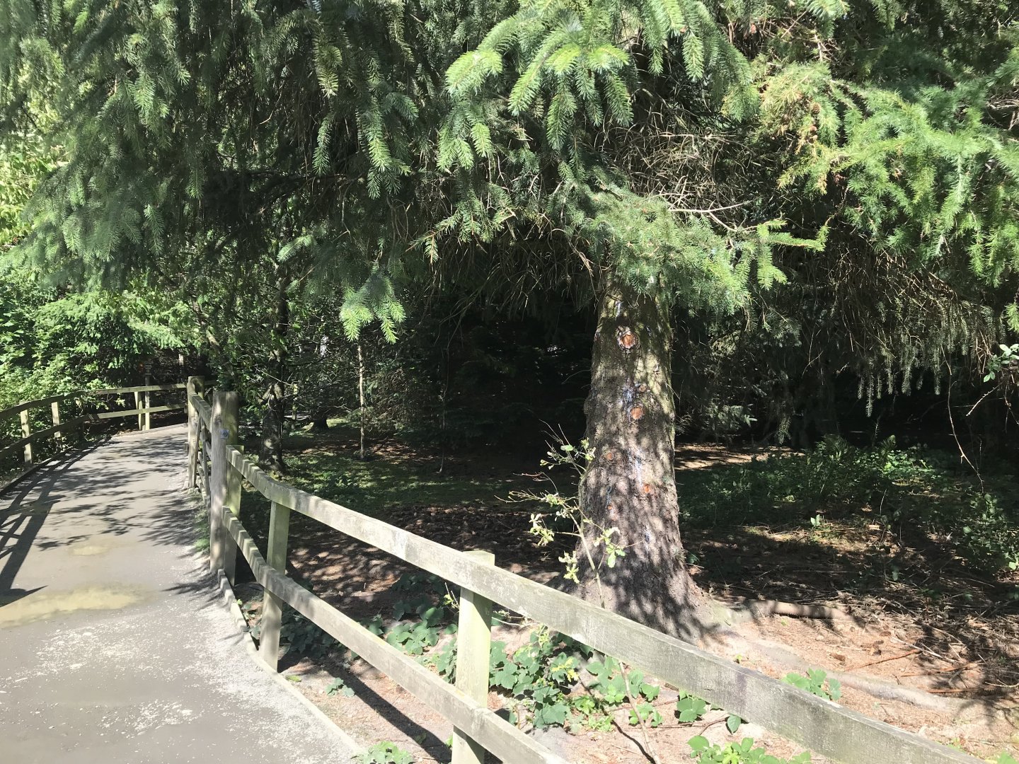Lemurland- Ring-tailed & brown lemur enclosure (2)