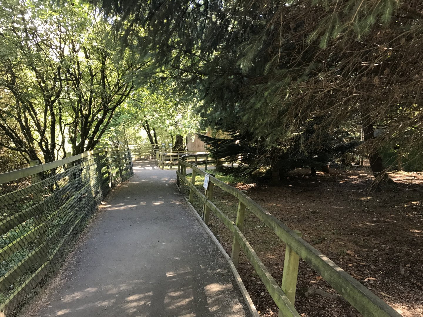Lemurland- Ring tailed & brown lemur enclosure (4)