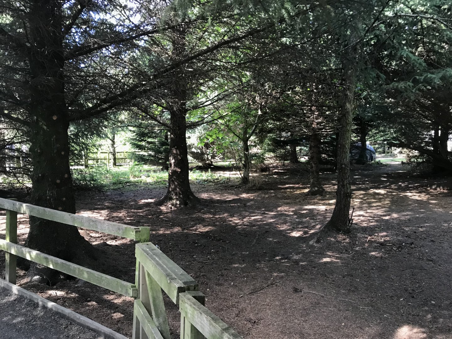 Lemurland- Ring-tailed & brown lemur enclosure