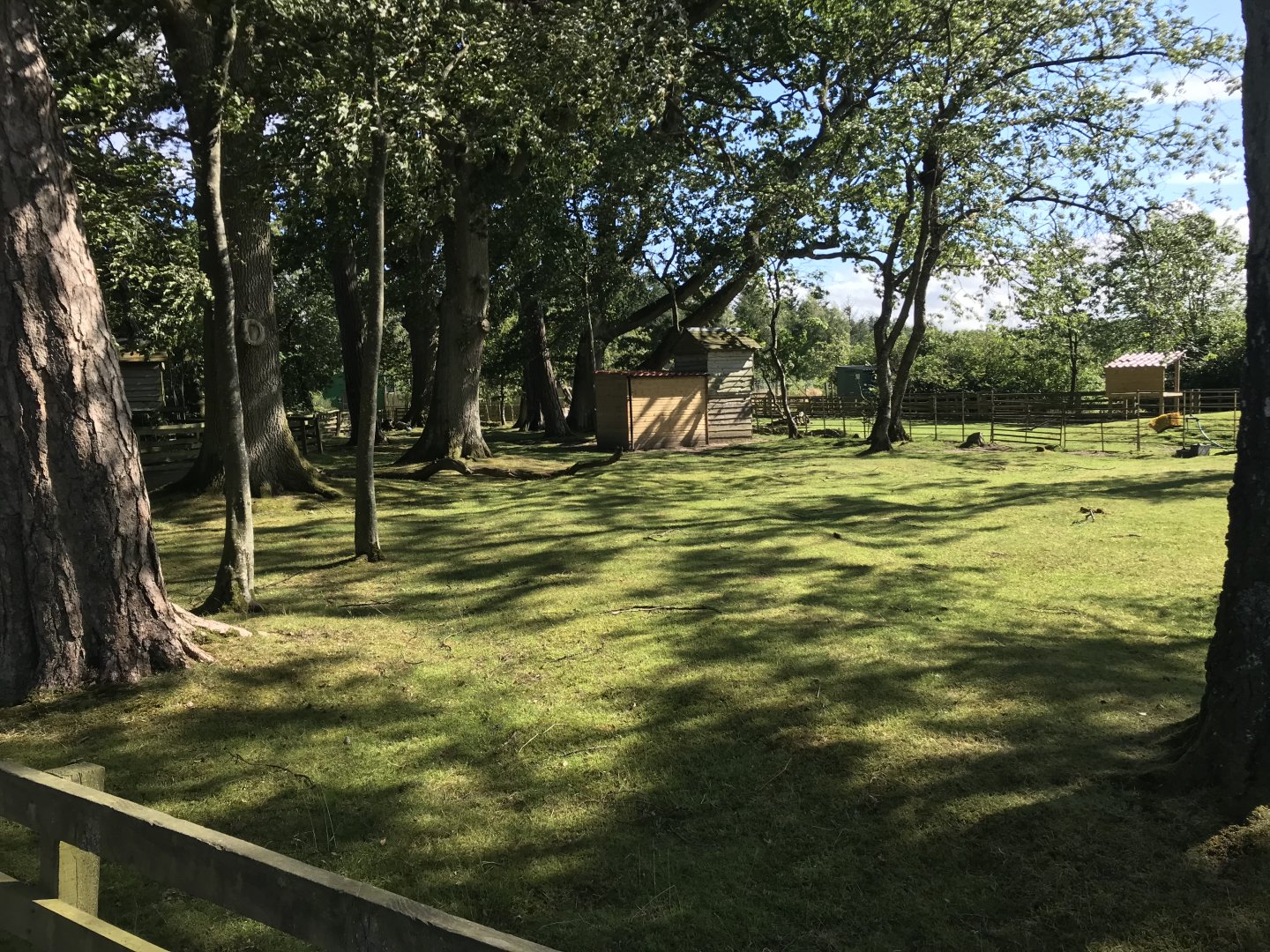 Lemurland- Somalian goat enclosure