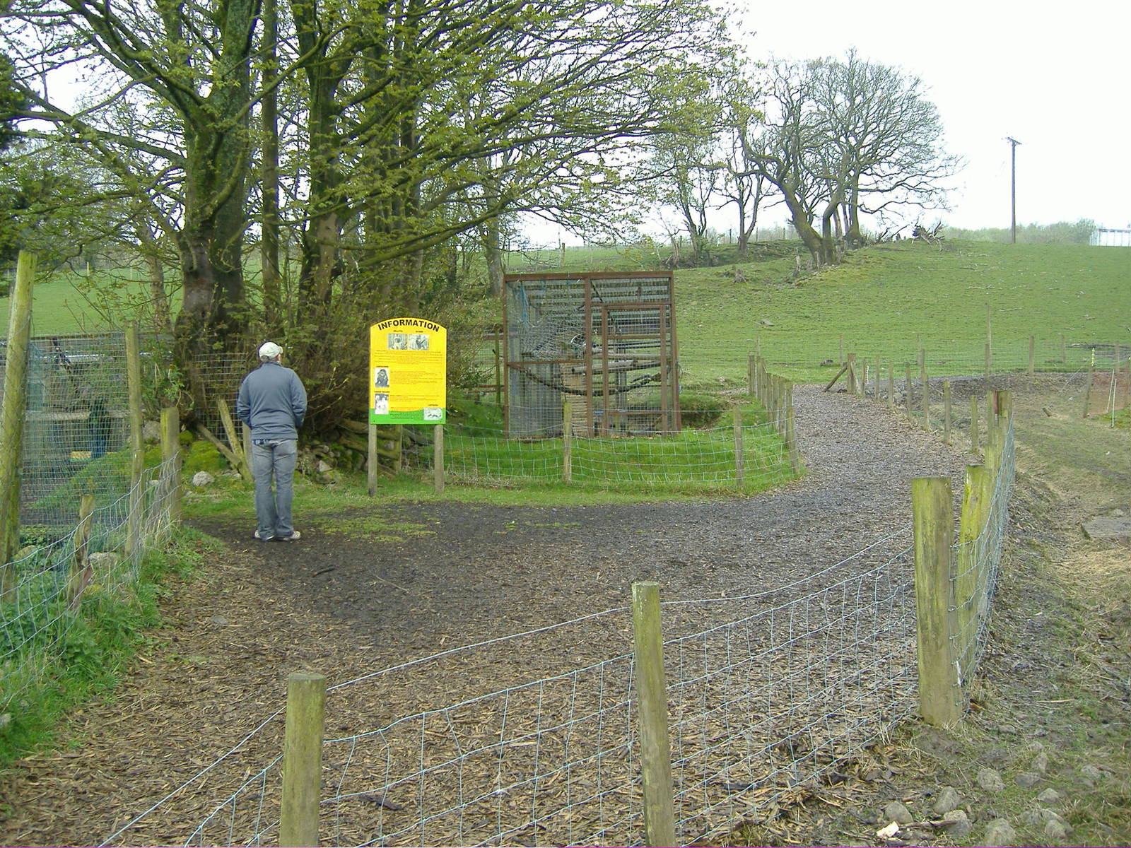 Lemurs and Capuchins Cefn-yr-Erw