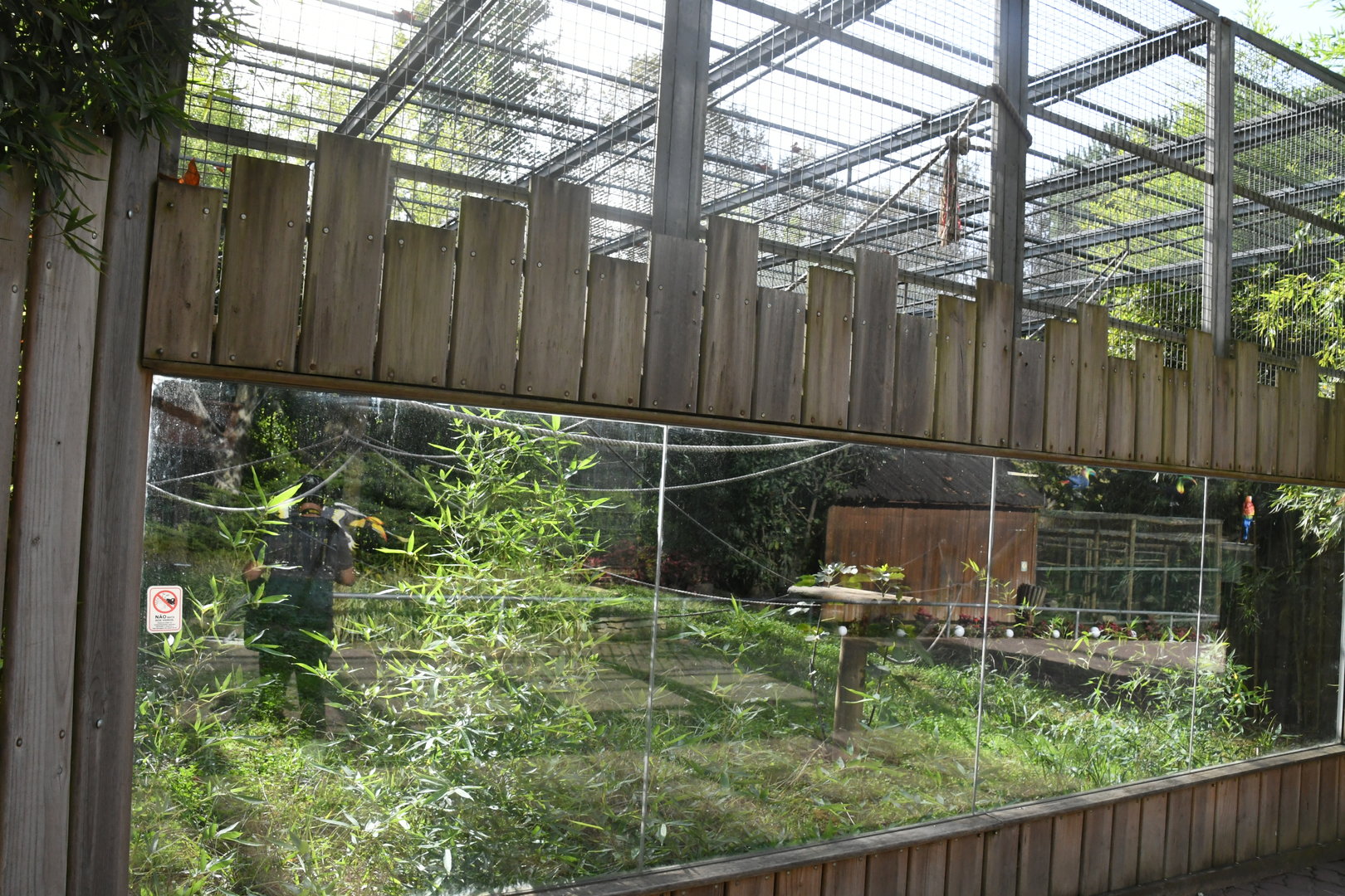Lemurs exhibit (Ring-tailed and Black-and-white Ruffed Lemurs)