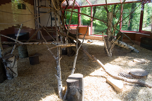 lemur's indoor enclosure