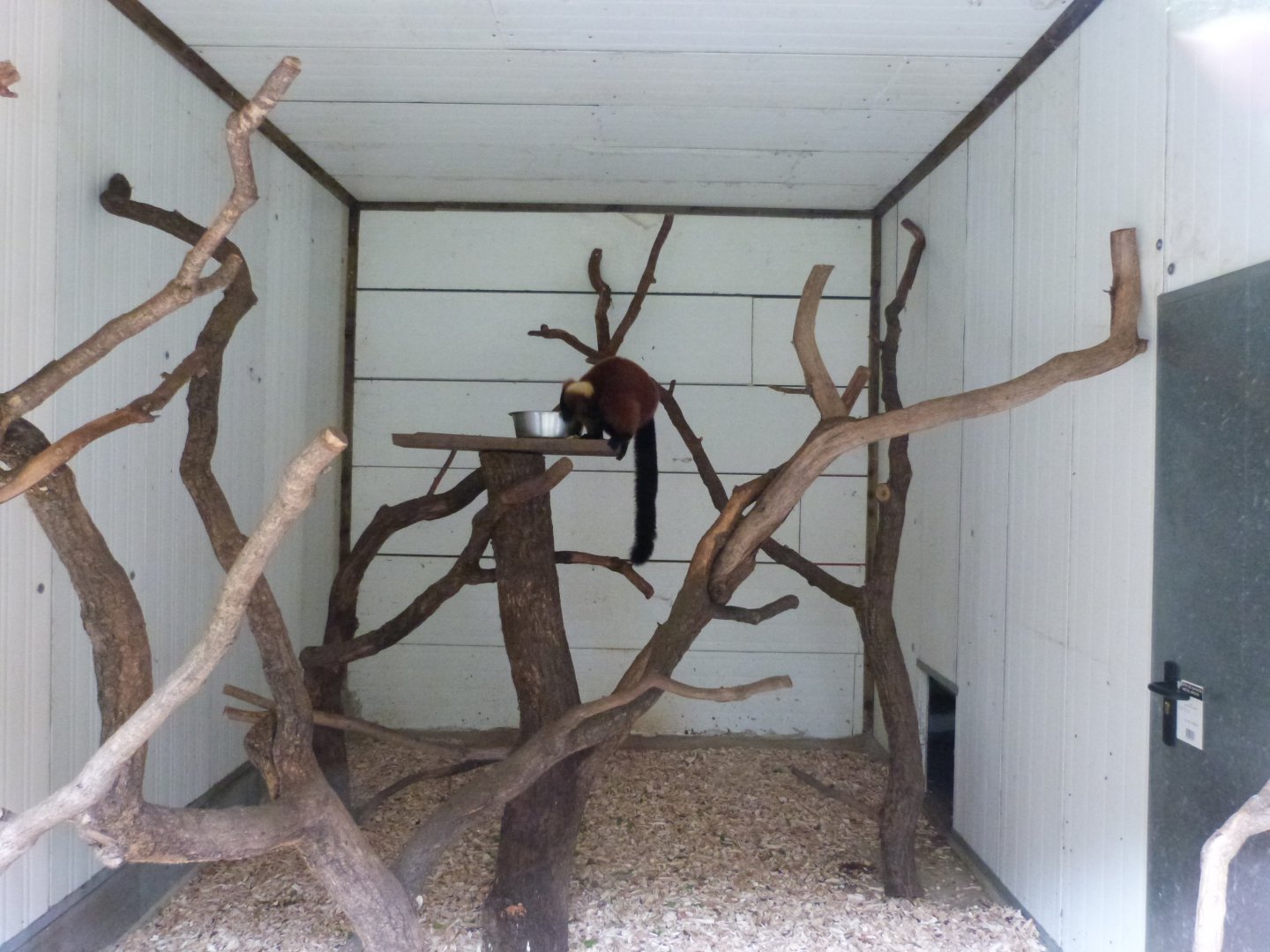 Lemurs lodge - Parc animalier de Bouillon
