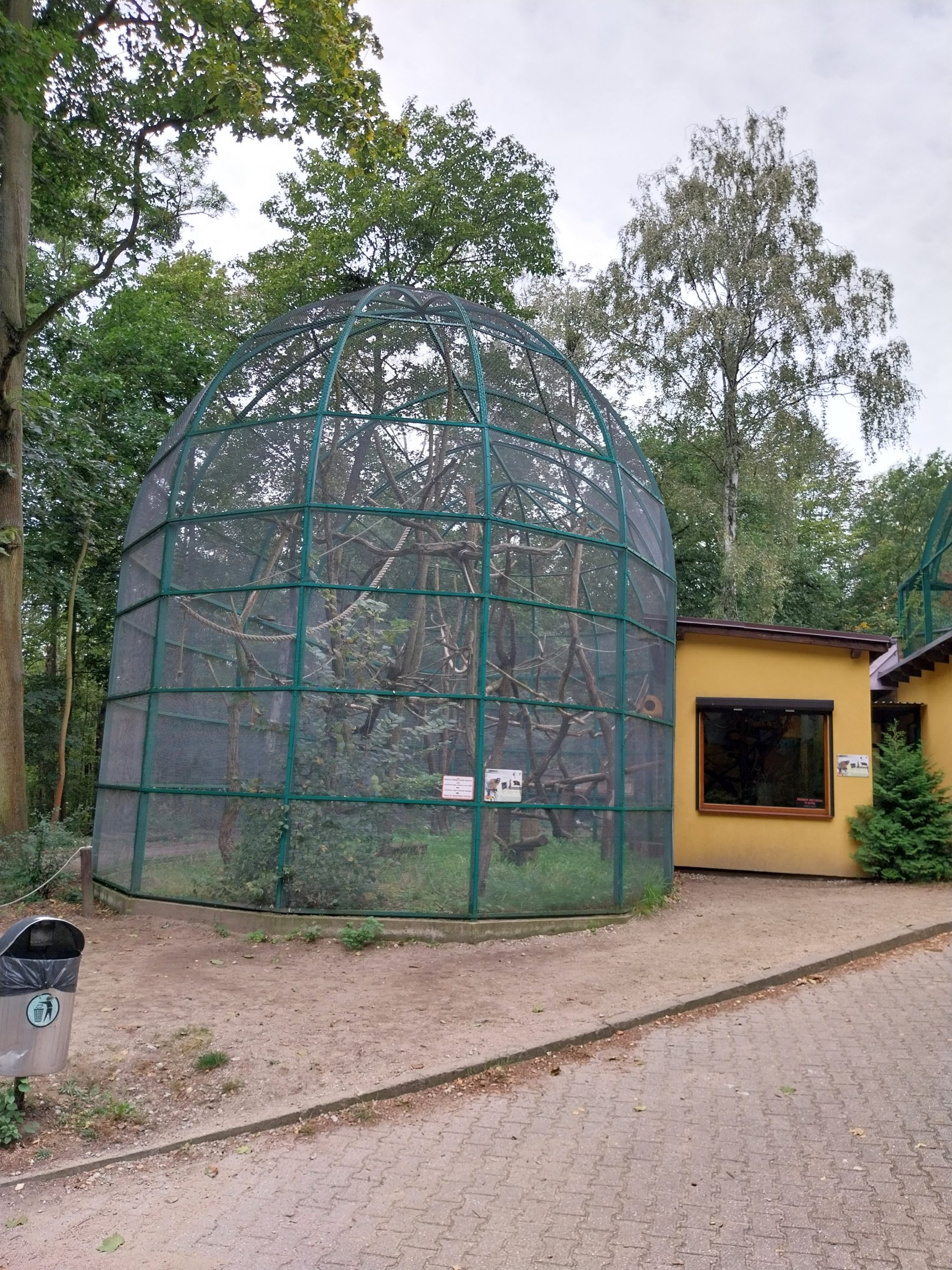 Lemurs & nocturnal mammals - Red Ruffed Lemur (Varecia rubra)