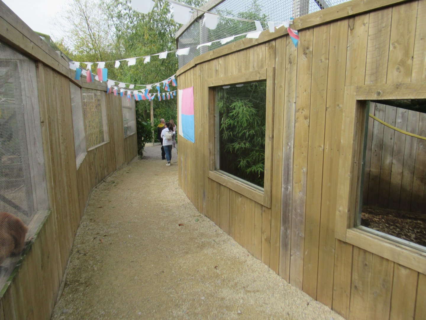 Lemurs on the left, fossa on the right