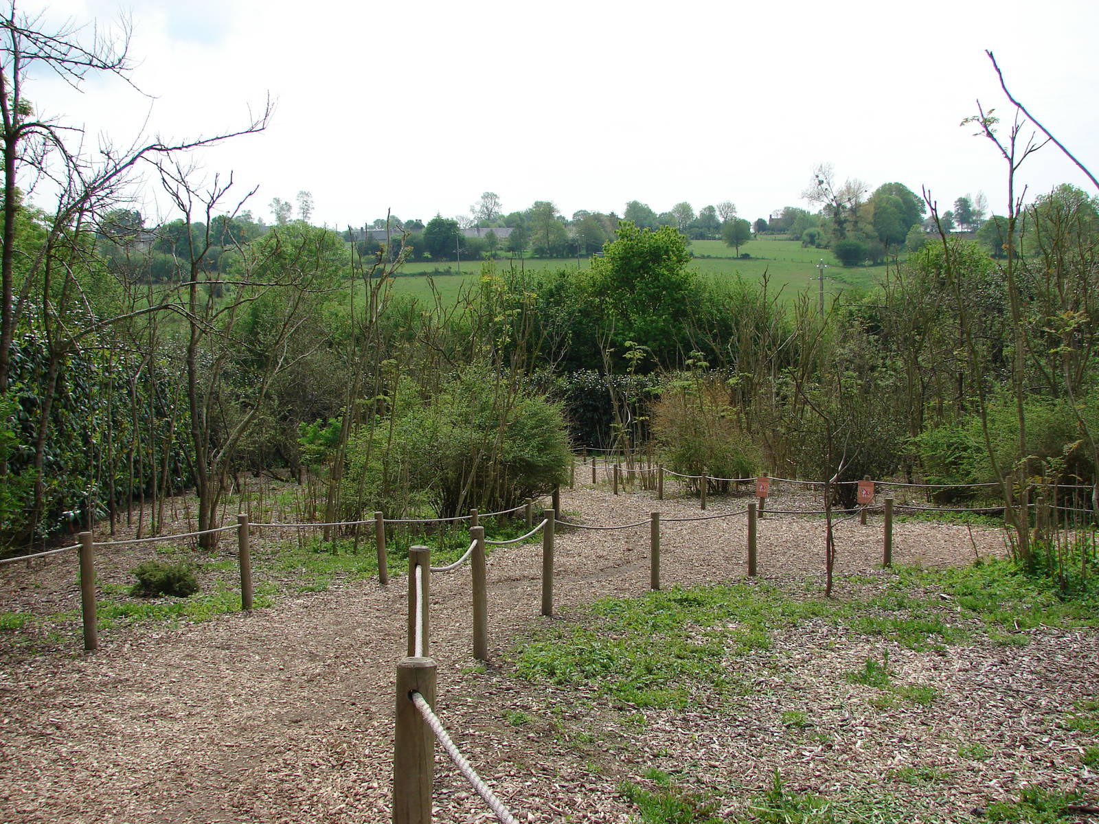 Lemurs walk-through exhibit