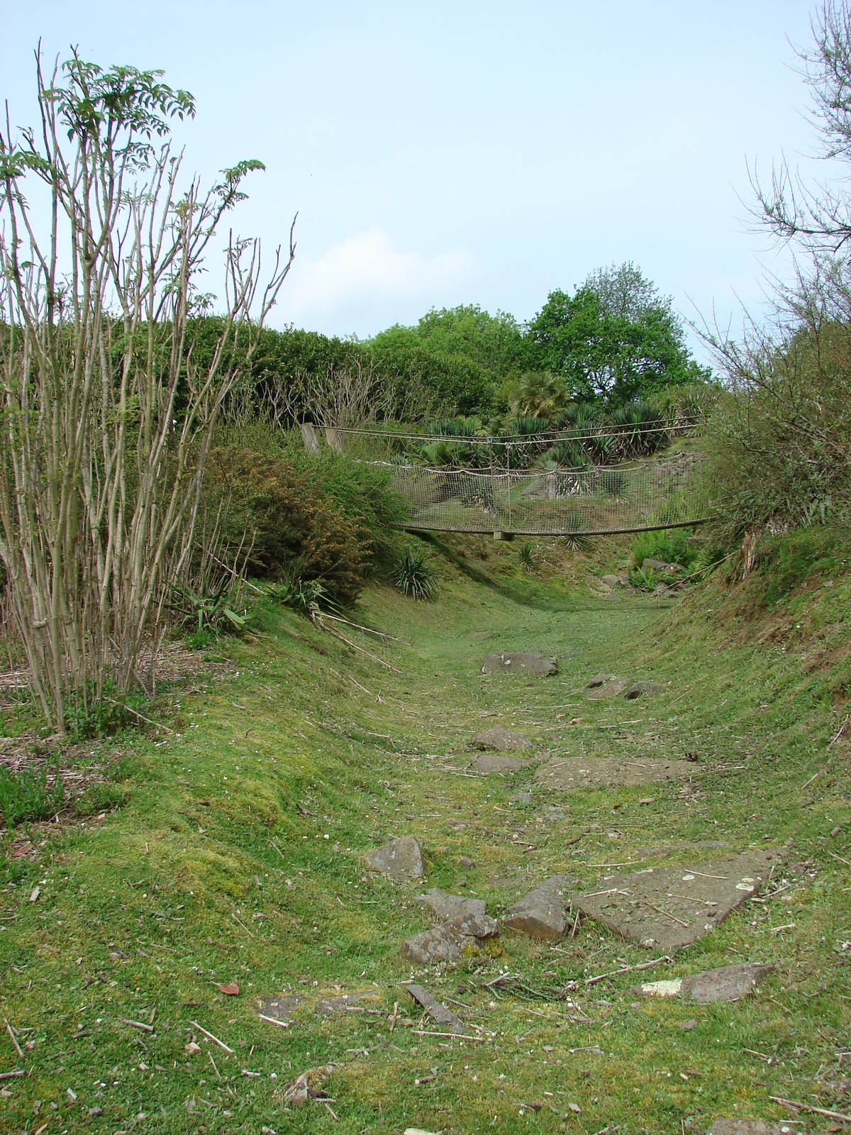 Lemurs walk-through exhibit