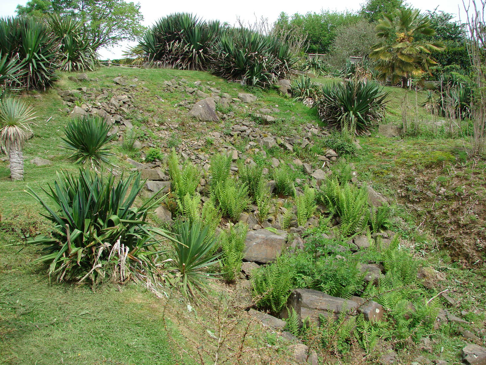 Lemurs walk-through exhibit