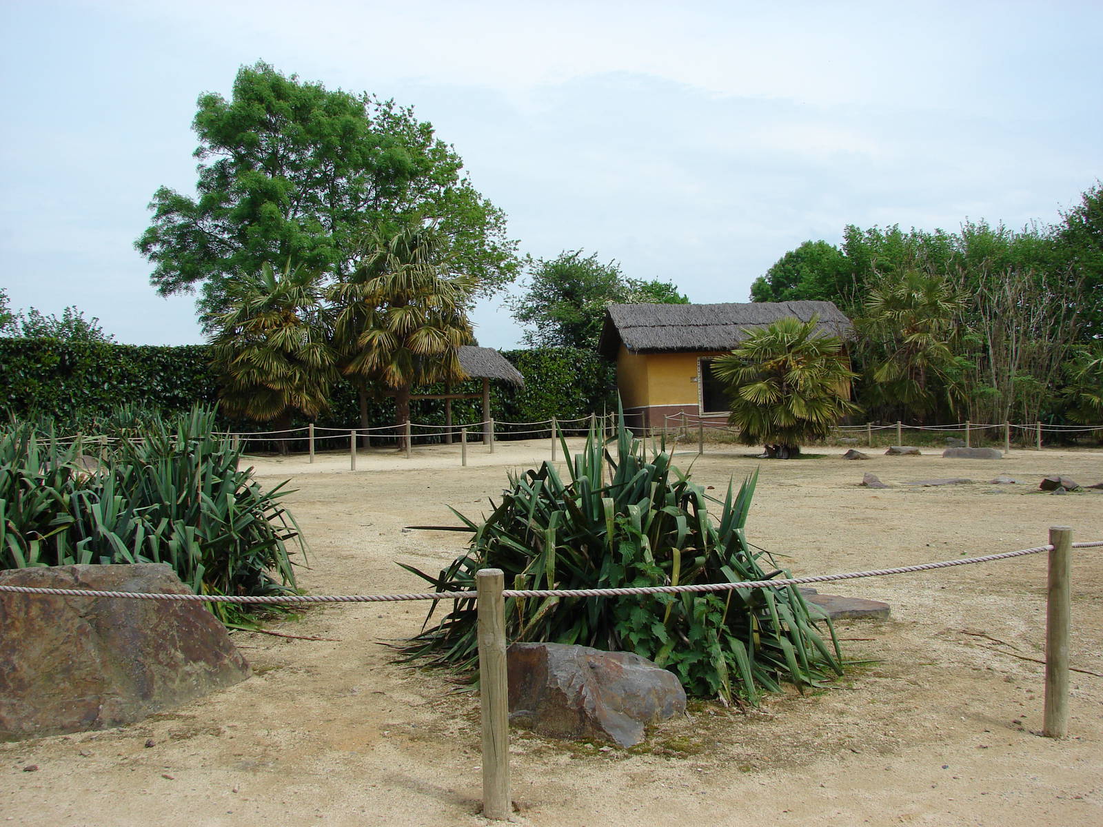 Lemurs walk-through exhibit
