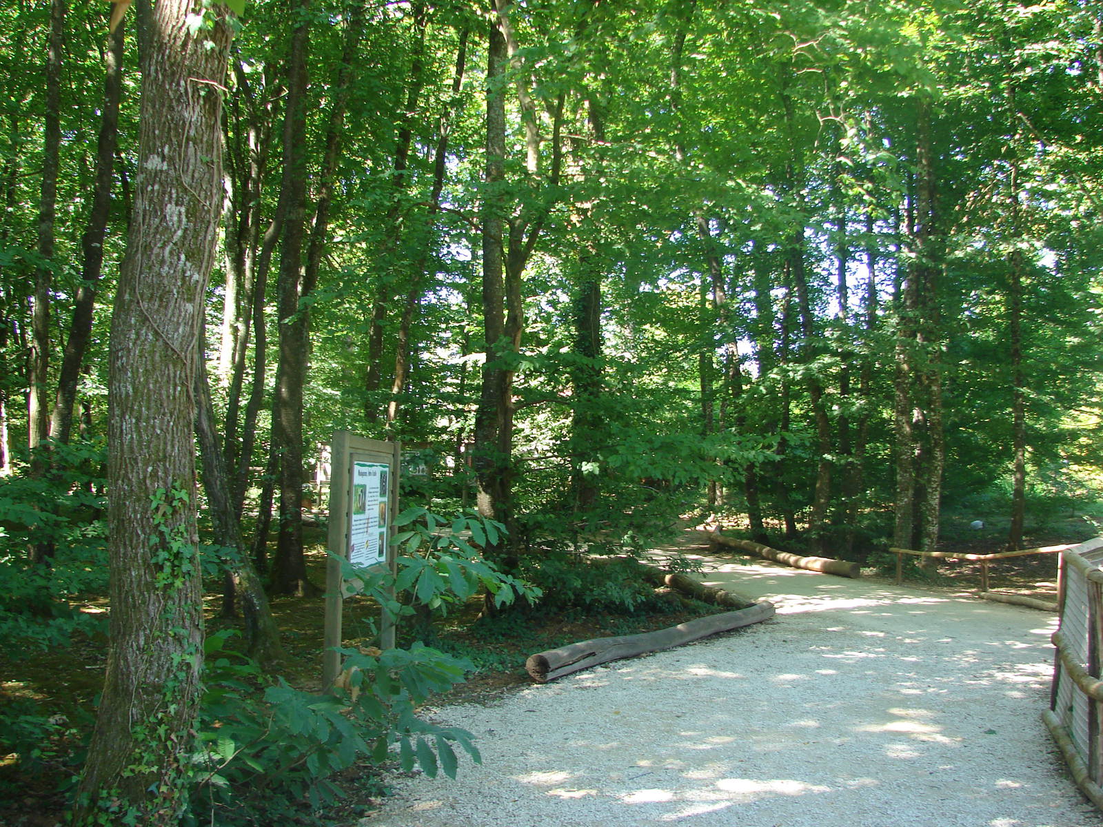 Lemurs walk-through exhibit