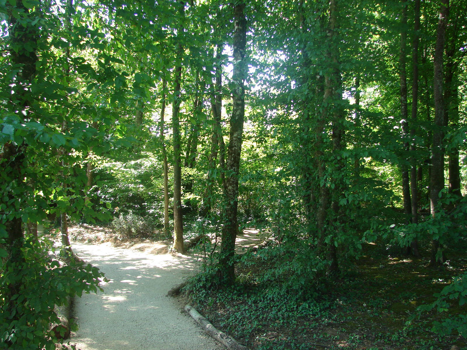 Lemurs walk-through exhibit