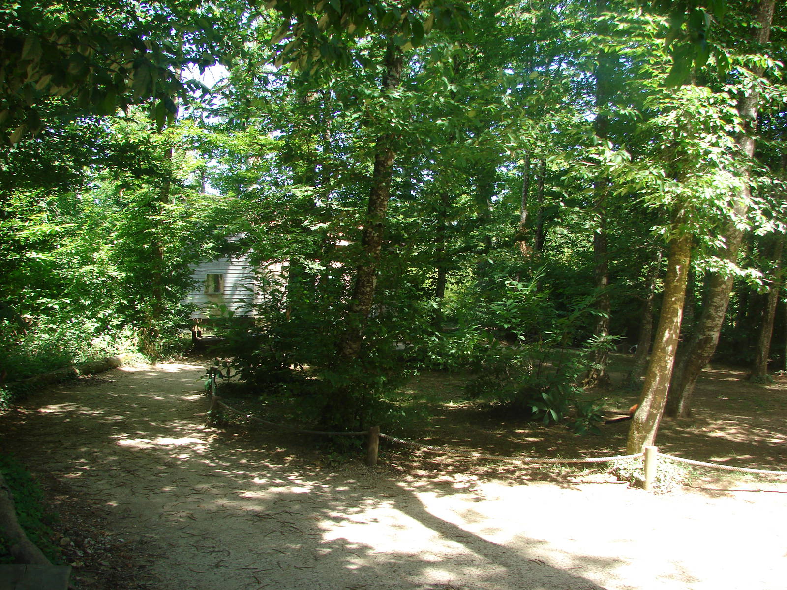 Lemurs walk-through exhibit