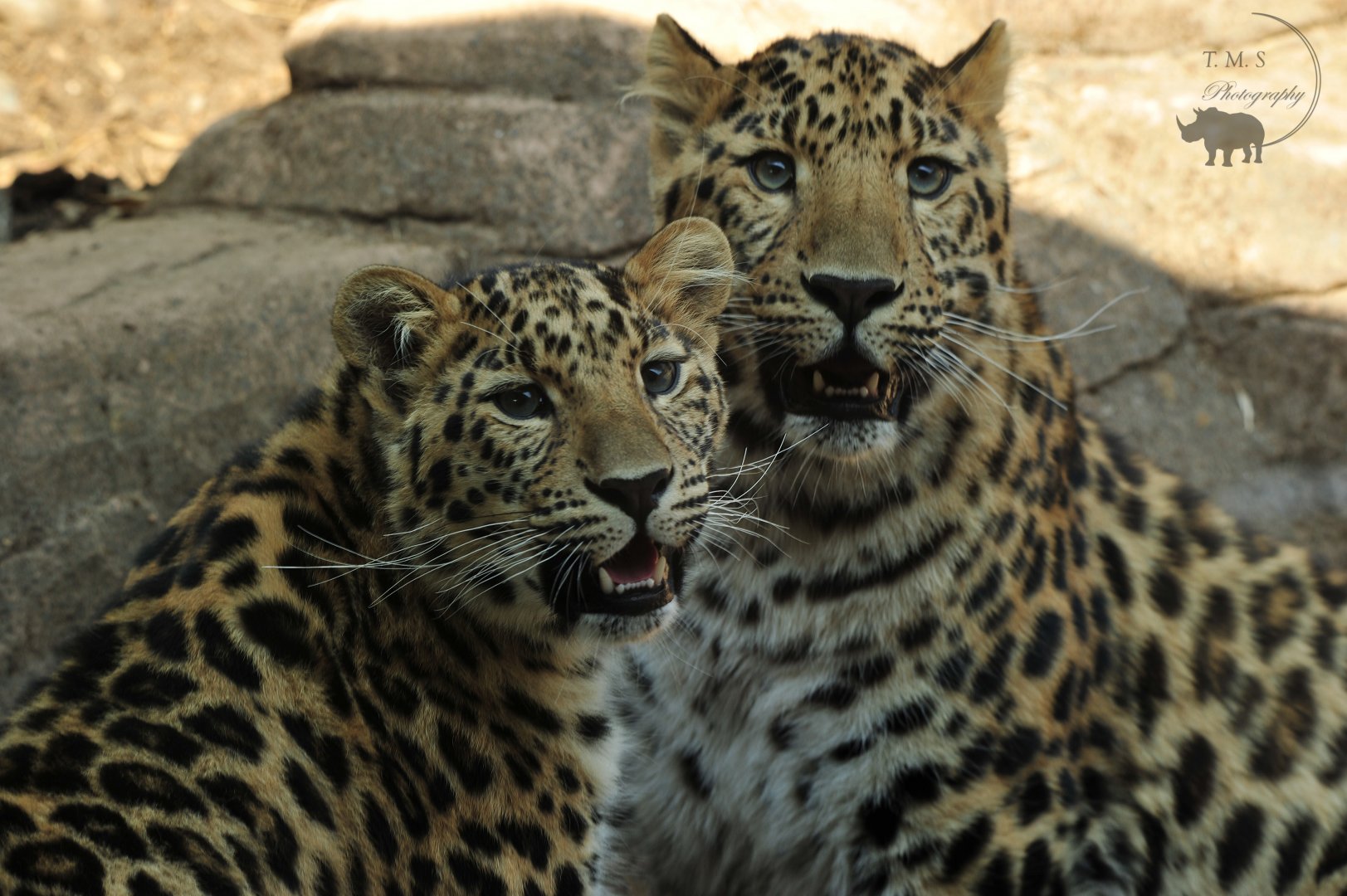 Lena and Luka together grown alot