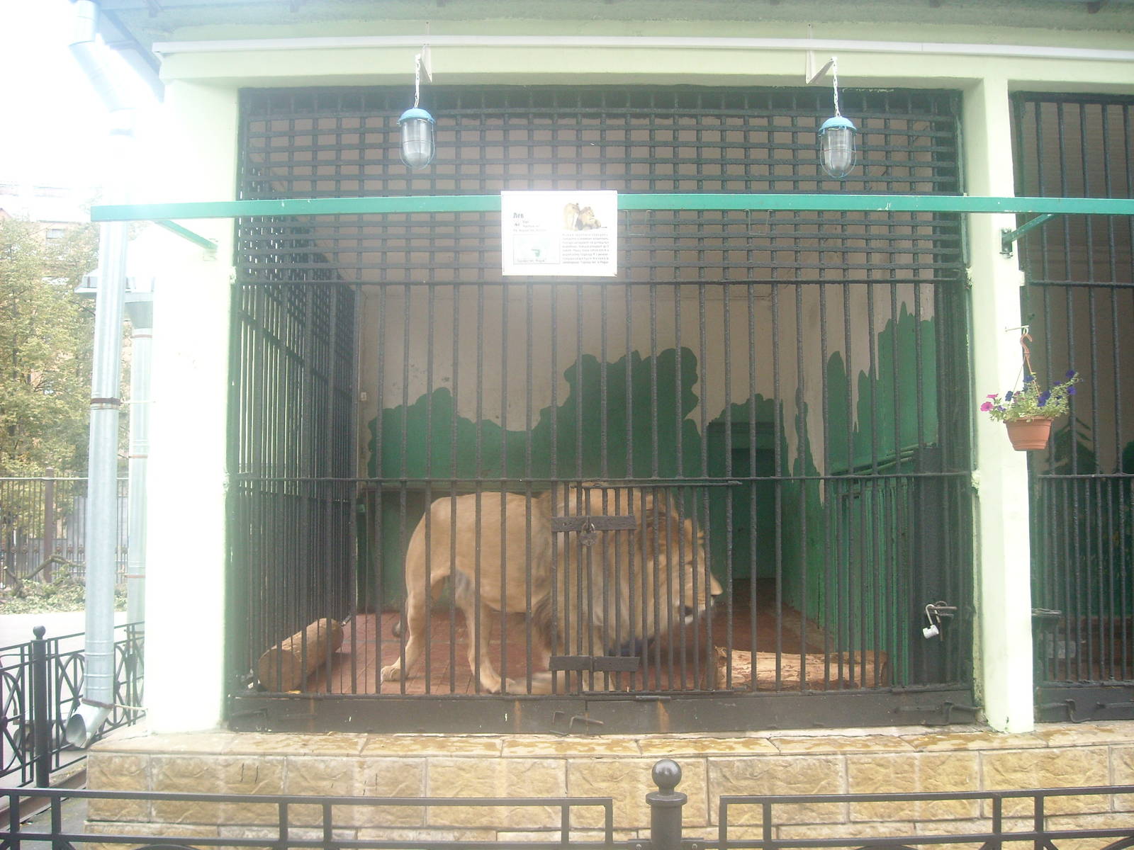 Leningrad Zoo