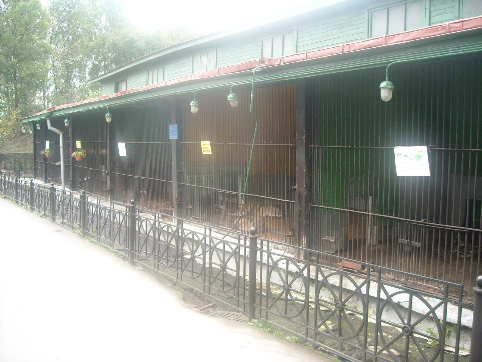 Leningrad Zoo