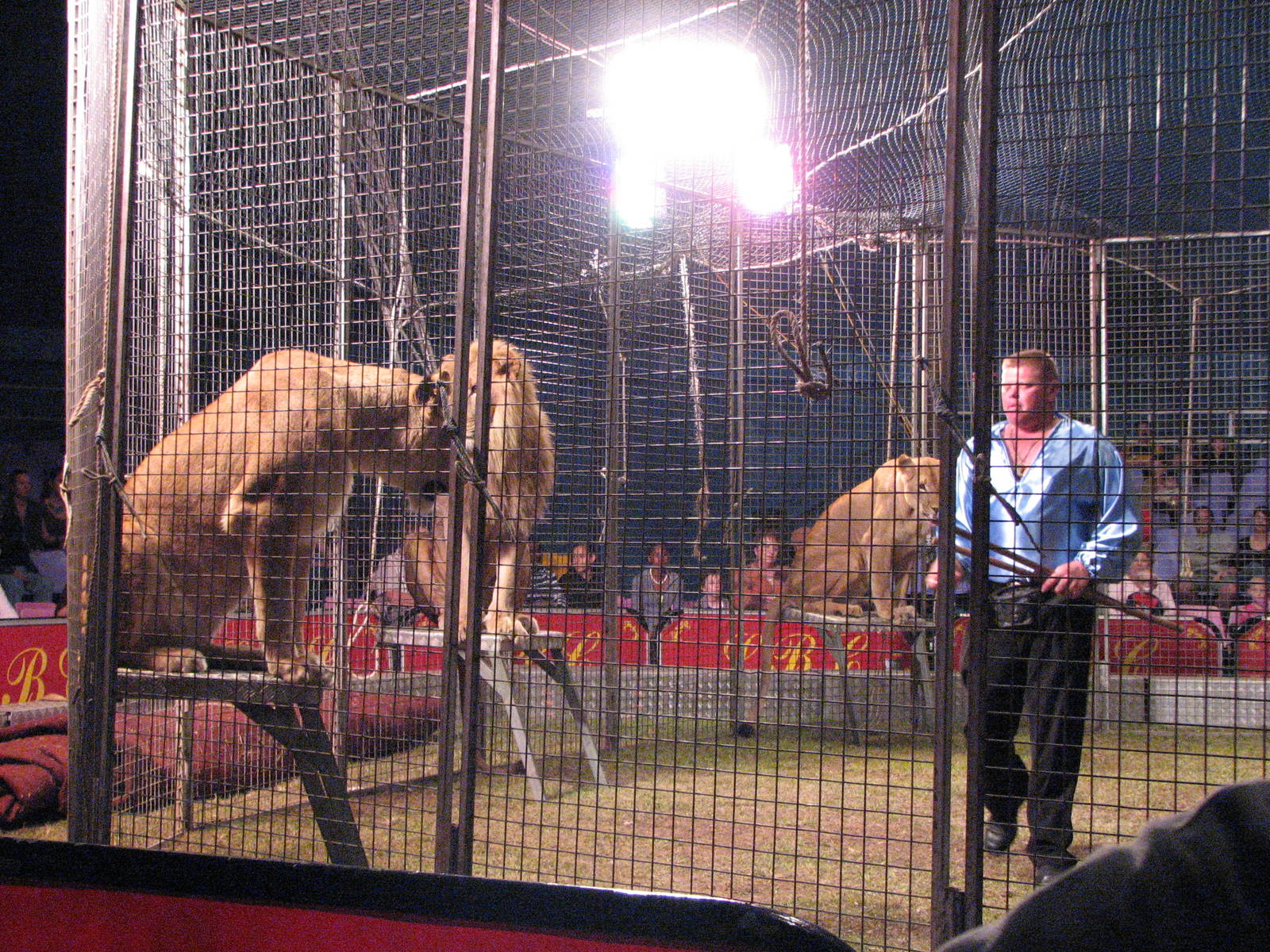 Lennon Bros Circus 2007 - Lion act