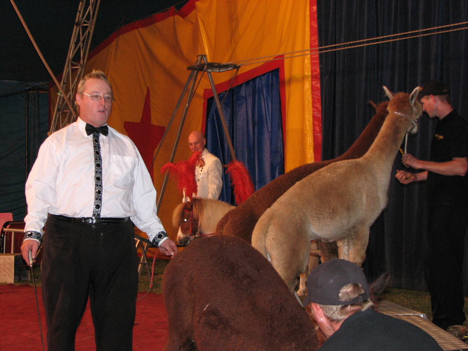 Lennon Bros Circus 2007 - Llama act