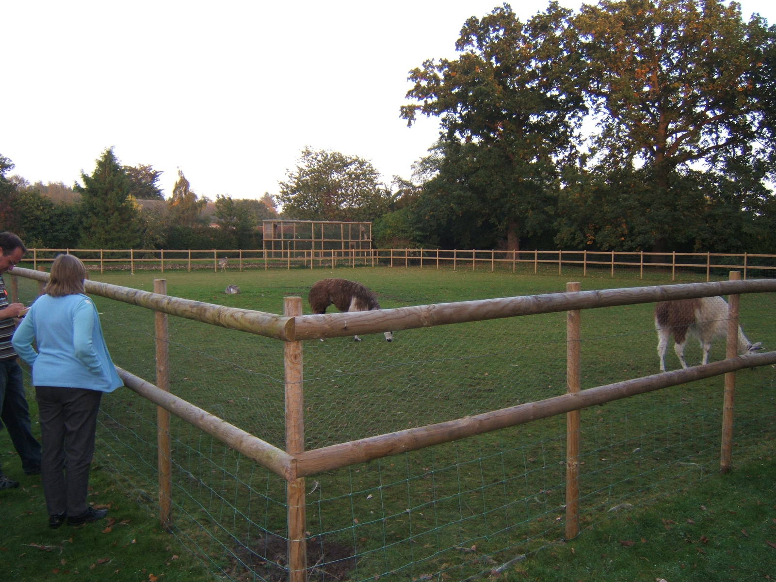 Lenwade Zoological Gardens(Now closed)