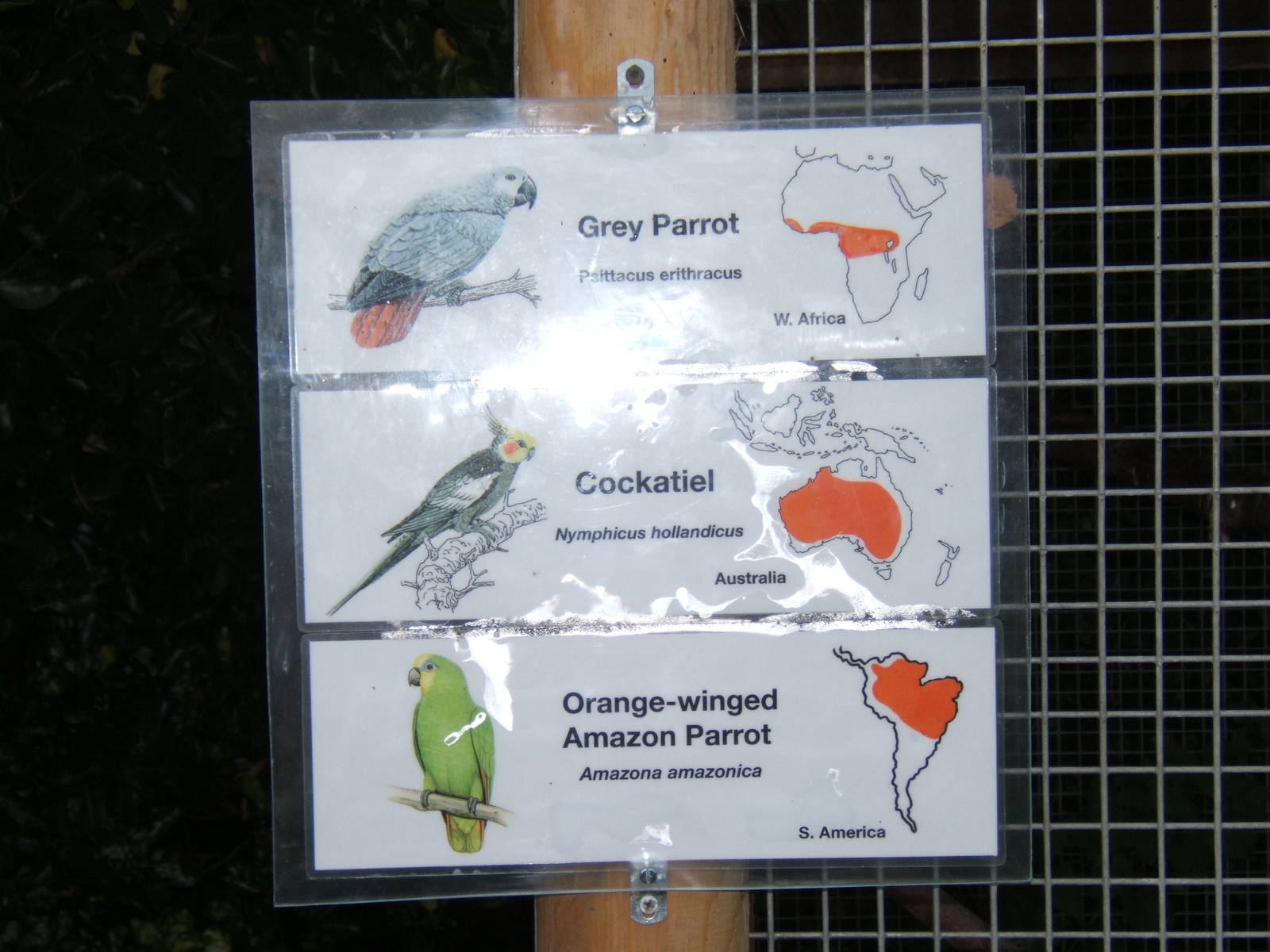 Lenwade Zoological Gardens(Now closed)