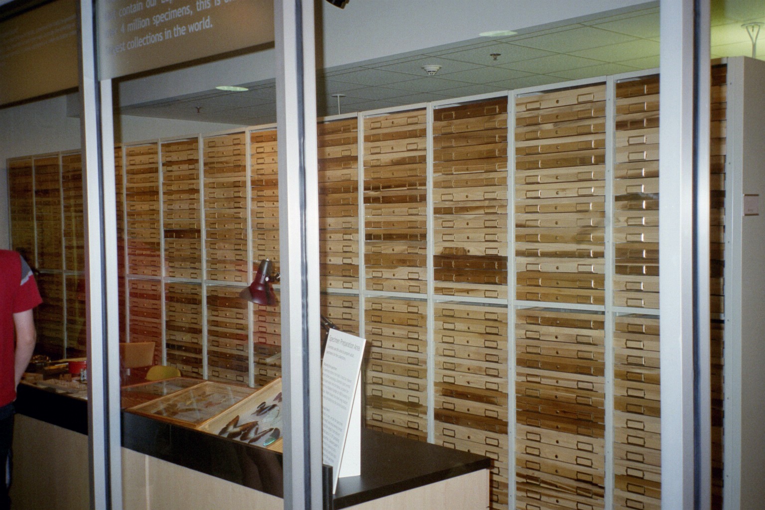 Leoidoptera Collections