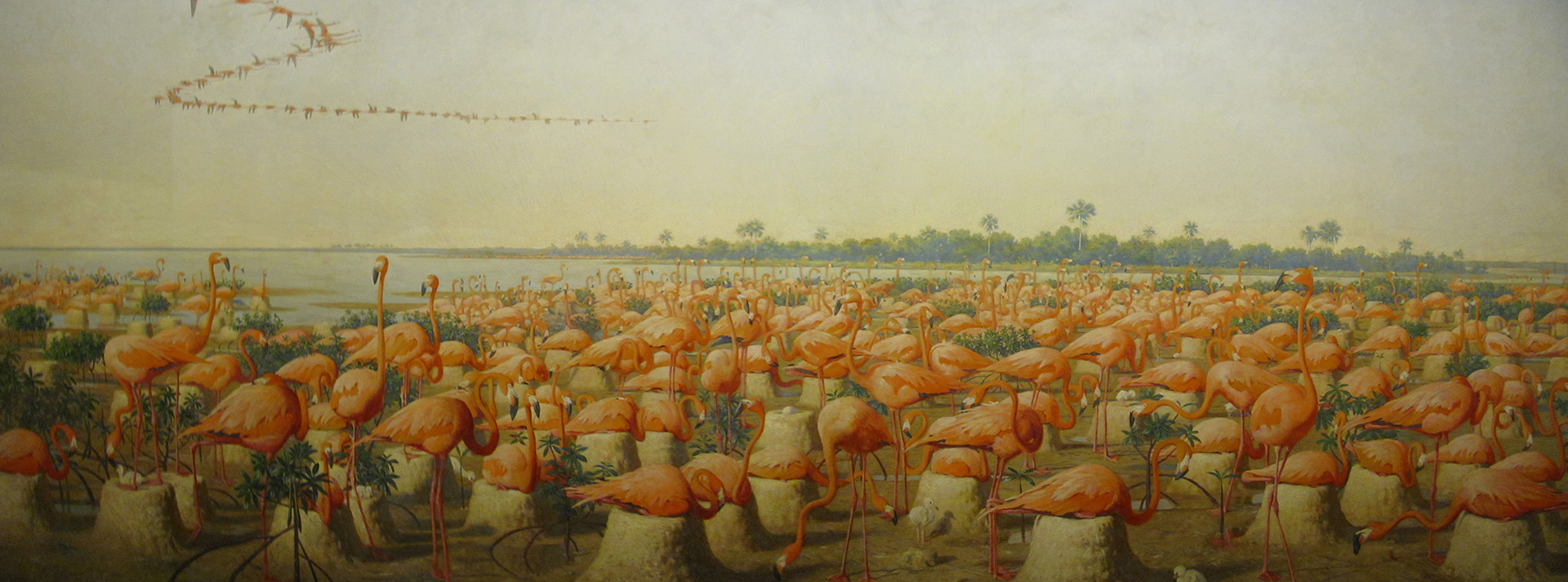 Leonard C. Sanford Hall of North American Birds American Flamingo Mural