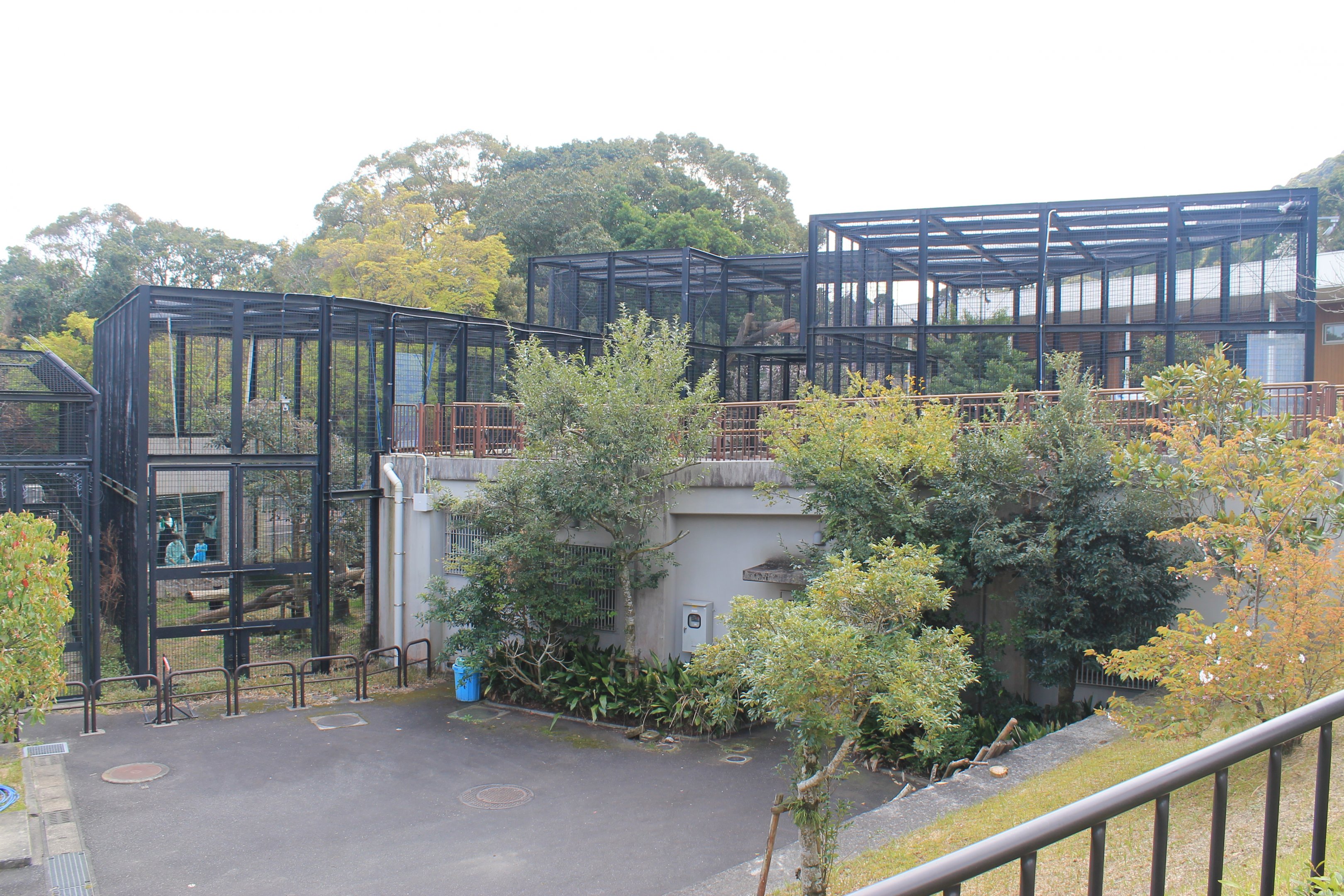 Leopard and Jaguar cages - Hirakawa Zoo (Kagoshima)