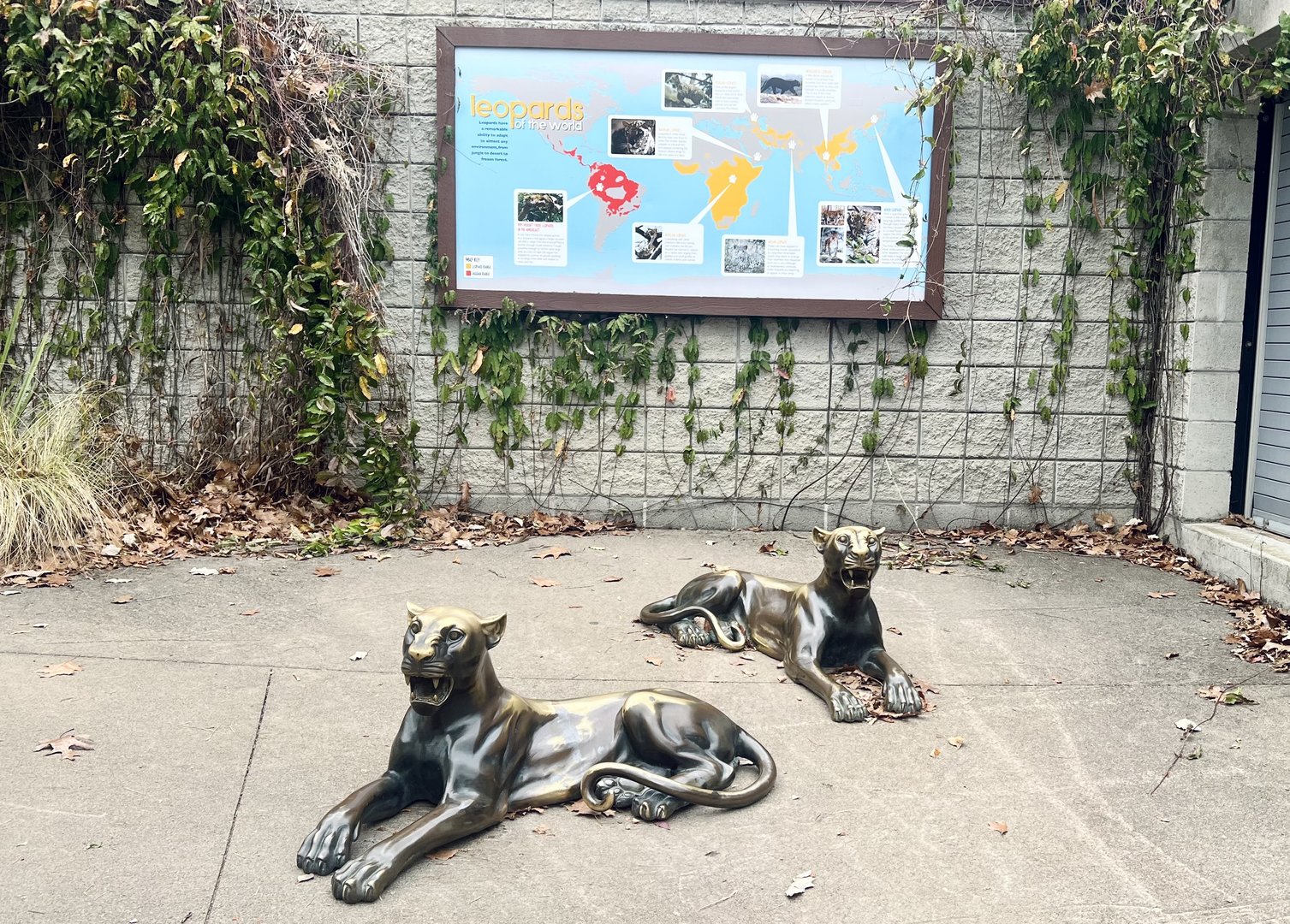 Leopard and Jaguar Information Sign