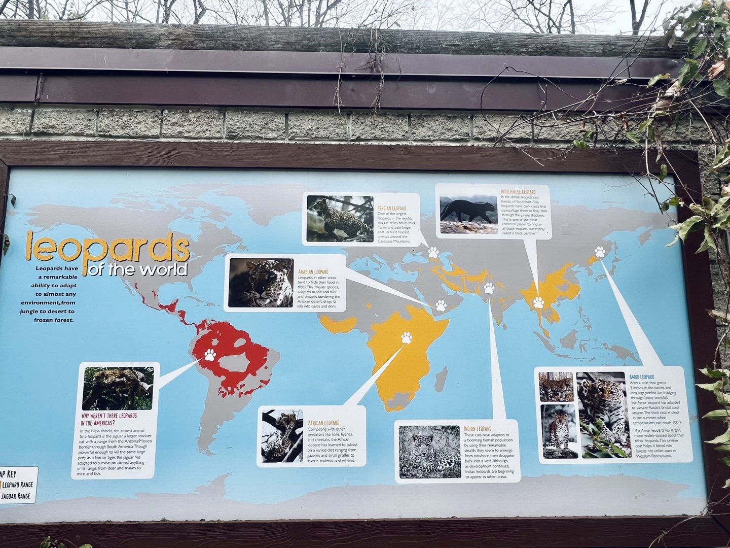 Leopard and Jaguar Information Sign