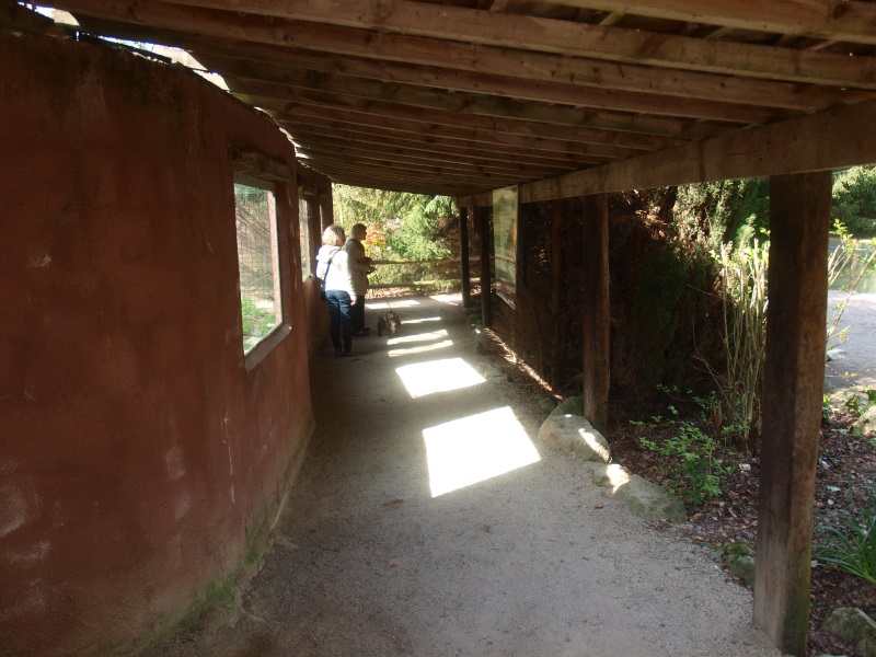 Leopard and lynx viewing area (April 19th, 2015)